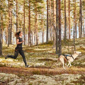 Non-Stop Dogwear Running Belt